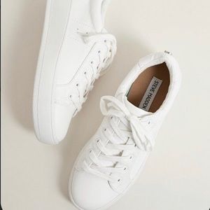 Steve Madden Bertie sneakers